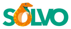Logosolvo2025